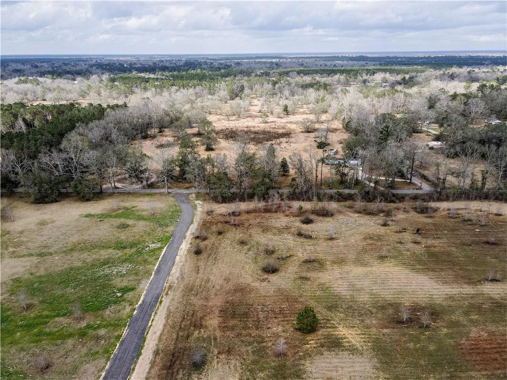 36393 Ed Yates Road Pearl River, LA 70452 - Photo 6 of 8 Gallery Image 6