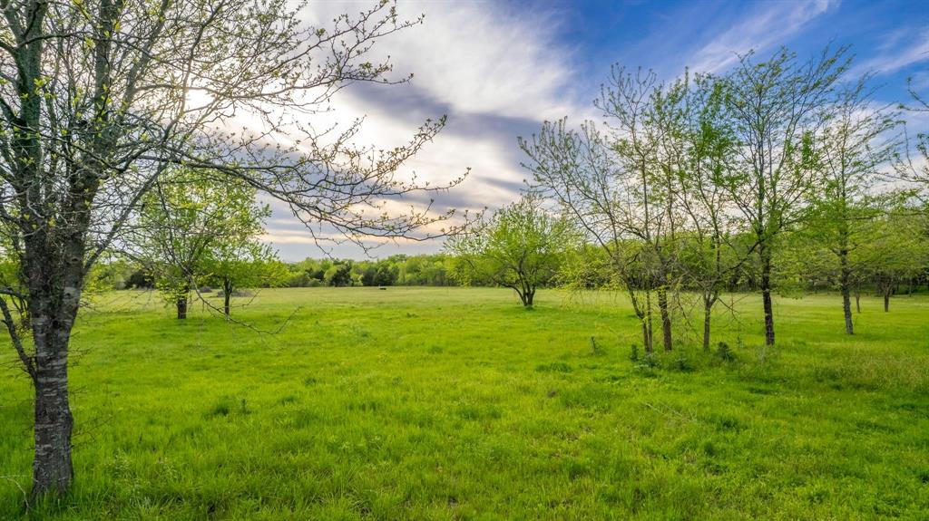 4804 County Road 4506 Commerce, TX 75428 - Photo 3 of 11 a view of field with trees in the background