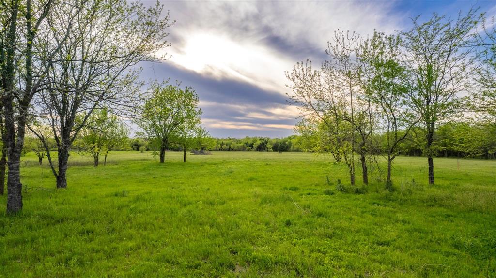 4804 County Road 4506 Commerce, TX 75428 - Photo 4 of 11 a view of yard with trees and grass