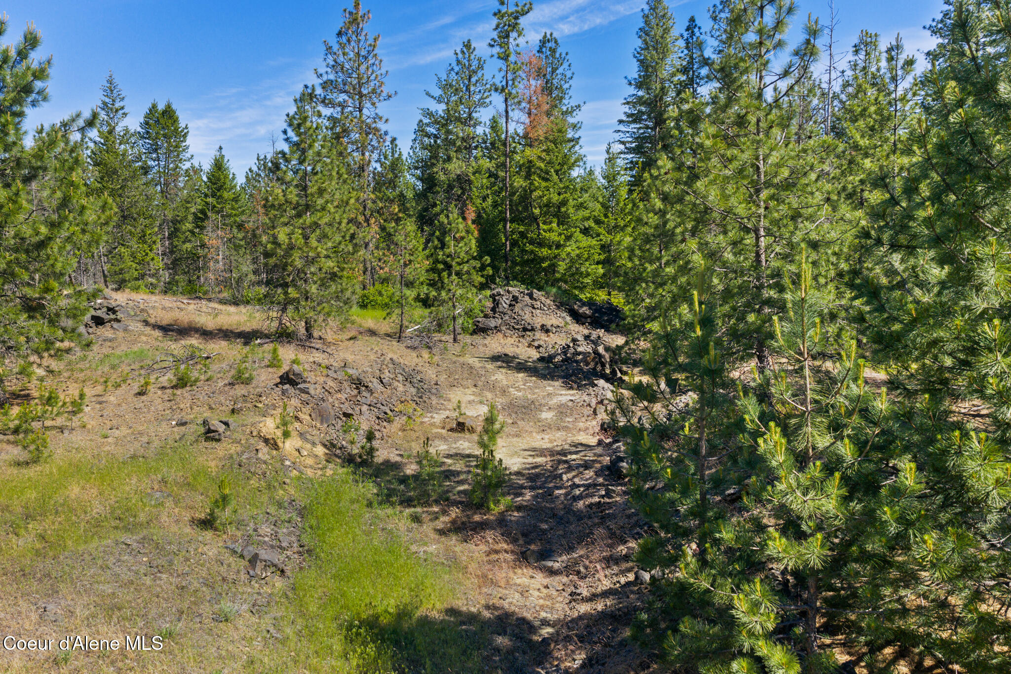 Nka East Rookery Road Hayden, ID 83835 - Photo 25 of 25 Wooded
