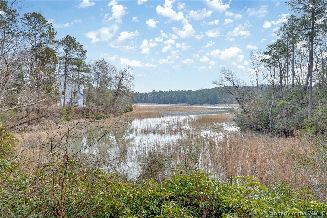 15577 Mill Swamp Road Smithfield, VA 23430 - Photo 2 of 40 Gallery Image 2