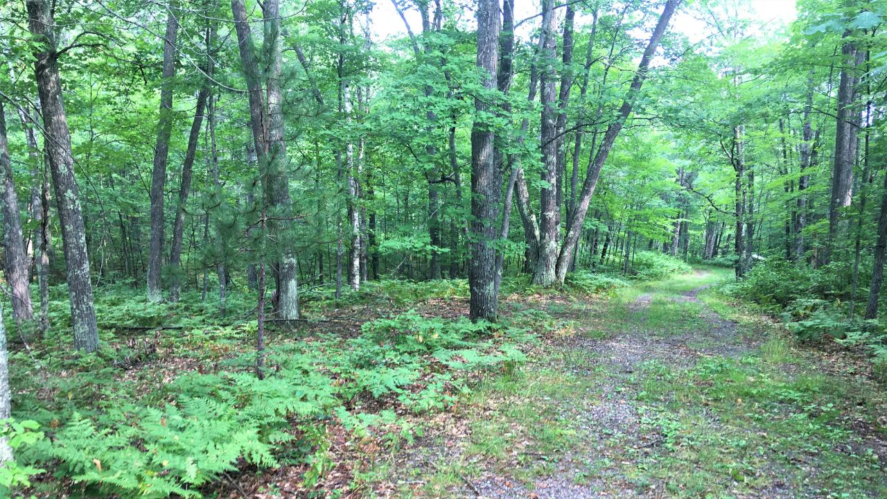 On On Dads Lake Road Eagle River, WI 54521 - Photo 2 of 7 Gallery Image 2