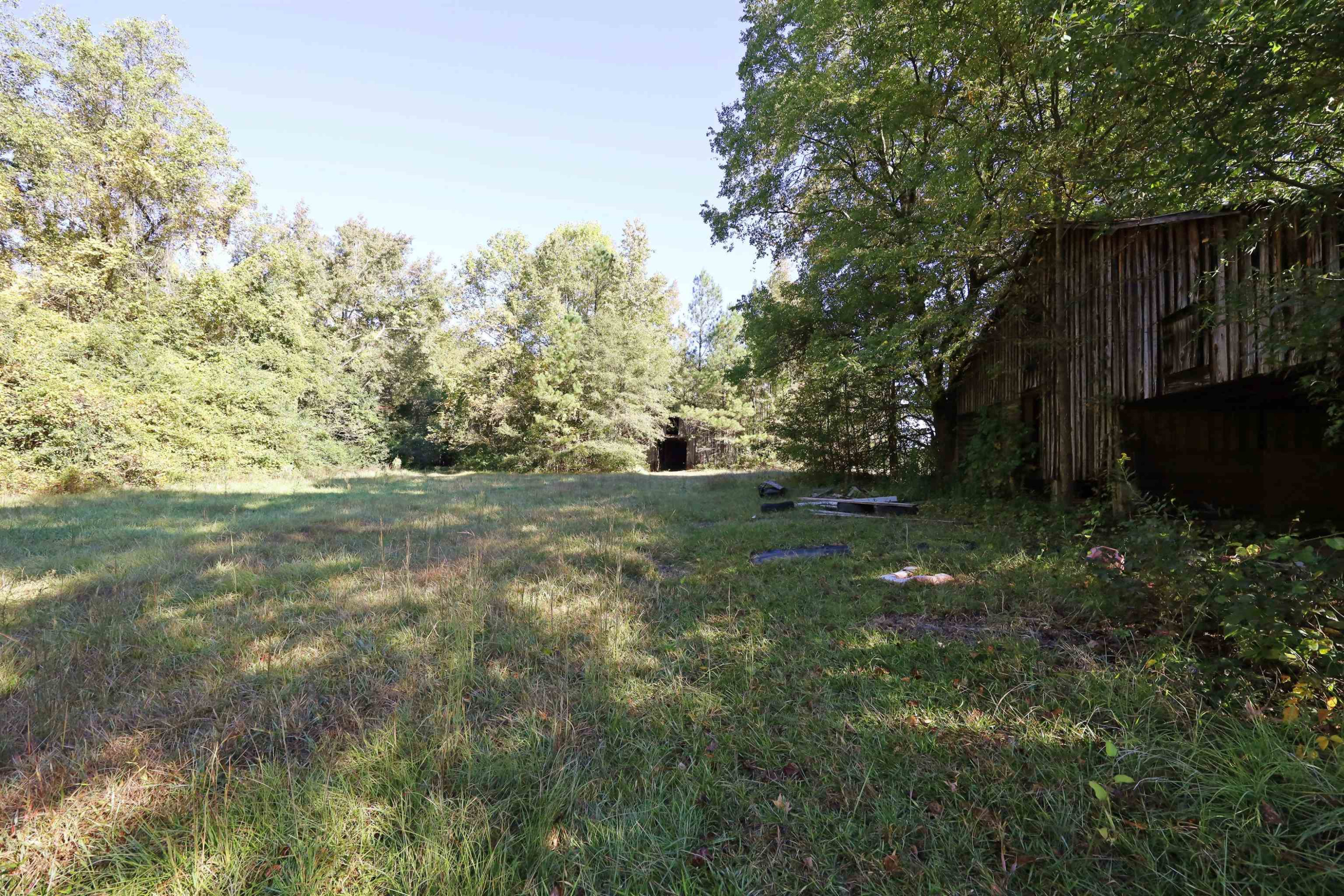 3928 Granny Farm Road Clayton, NC 27520 - Photo 48 of 62 Photo 49
