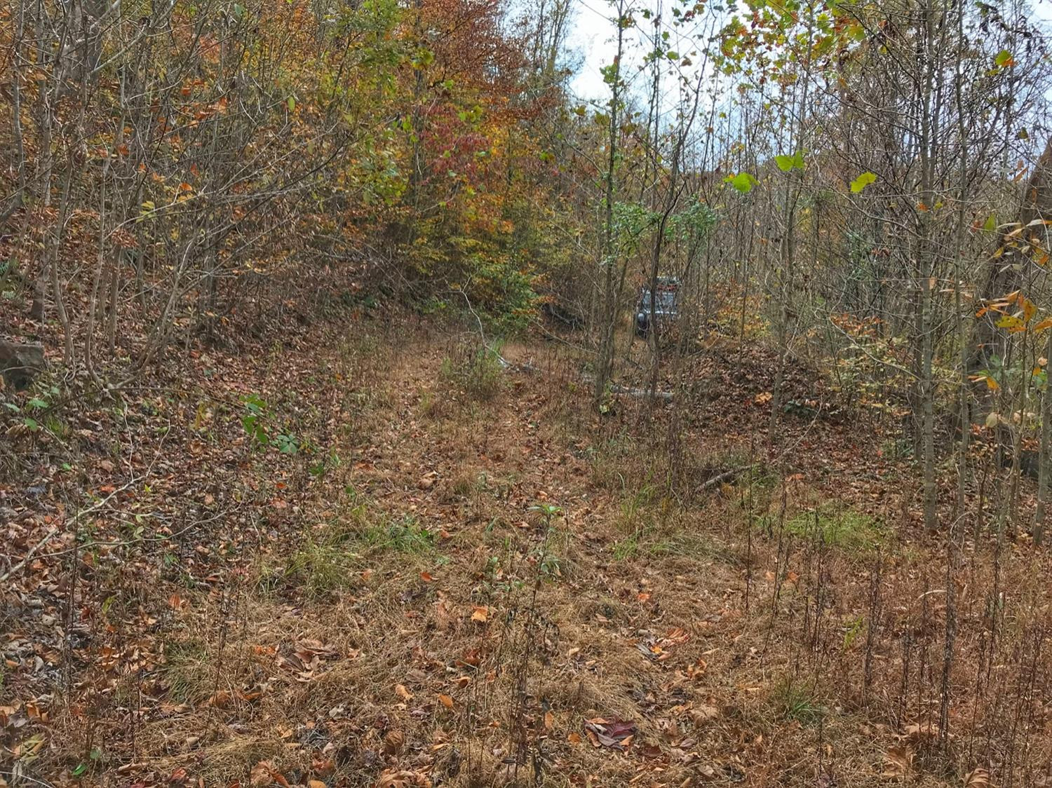 889 South Fork Road Stanton, KY 40380 - Photo 18 of 19 Photo 18
