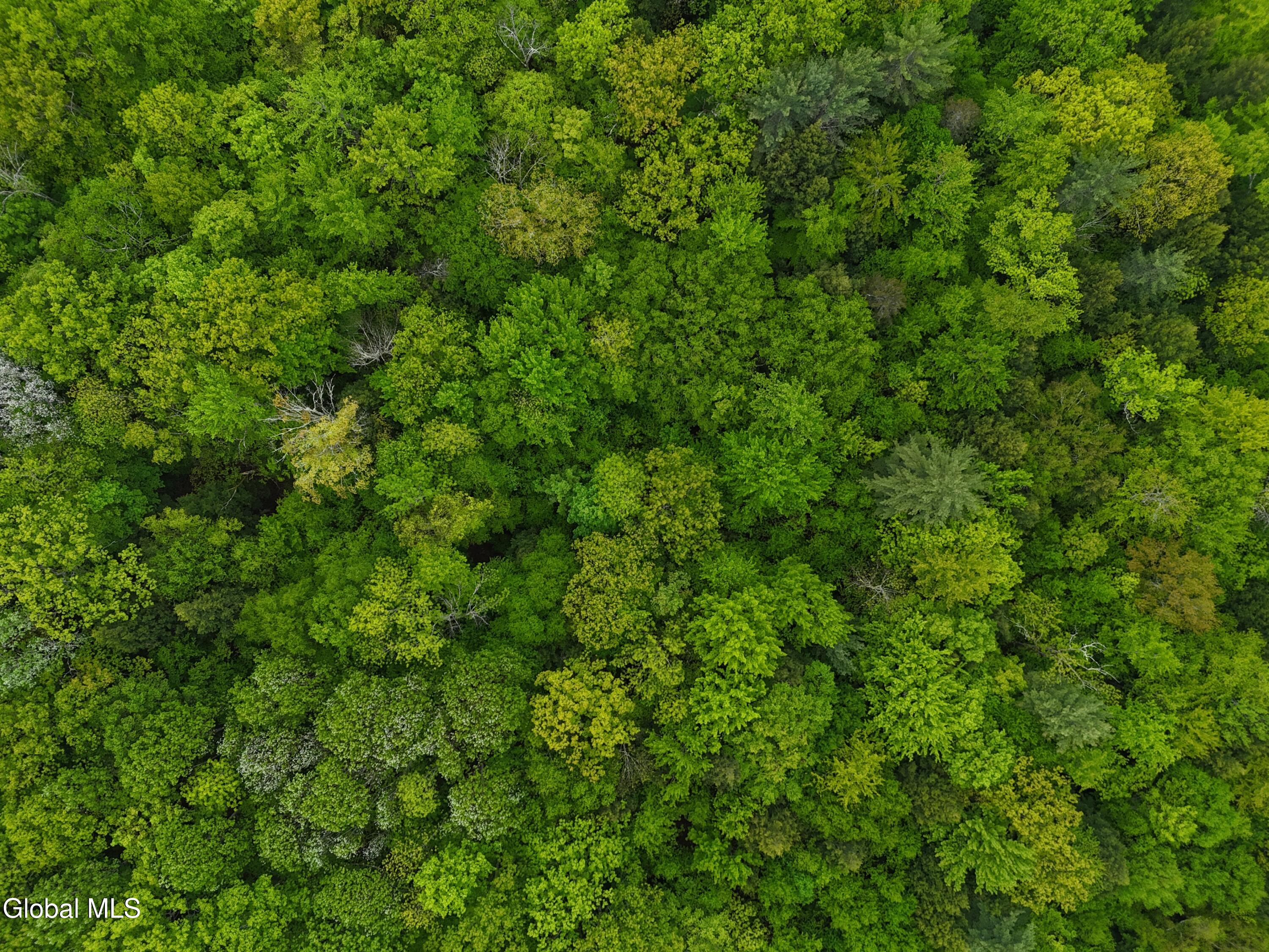 191 Gifford Valley Road, Unit LOT30 Northampton, NY 12117 - Photo 6 of 7 4