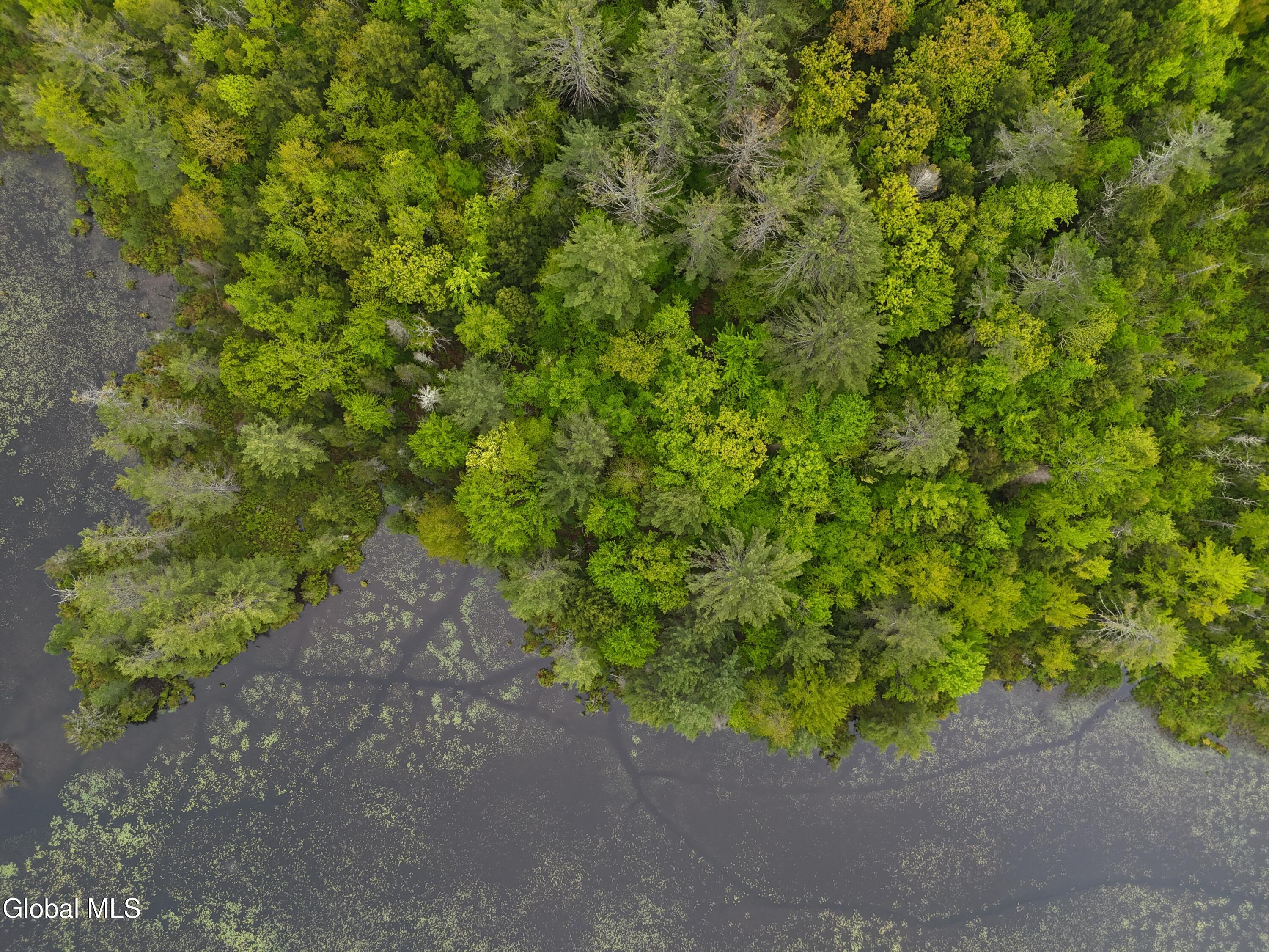 191 Gifford Valley Road, Unit LOT30 Northampton, NY 12117 - Photo 7 of 7 Lake access