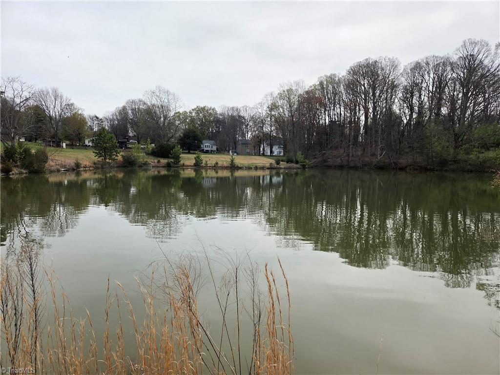 0 Smith Lake Road Winston-Salem, NC 27103 - Photo 3 of 5