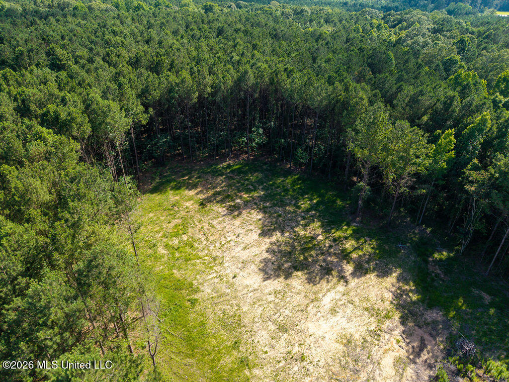 Trickhambridge Road Brandon, MS 39042 - Photo 16 of 30 dji_fly_20260610_164756_0196_17811286101