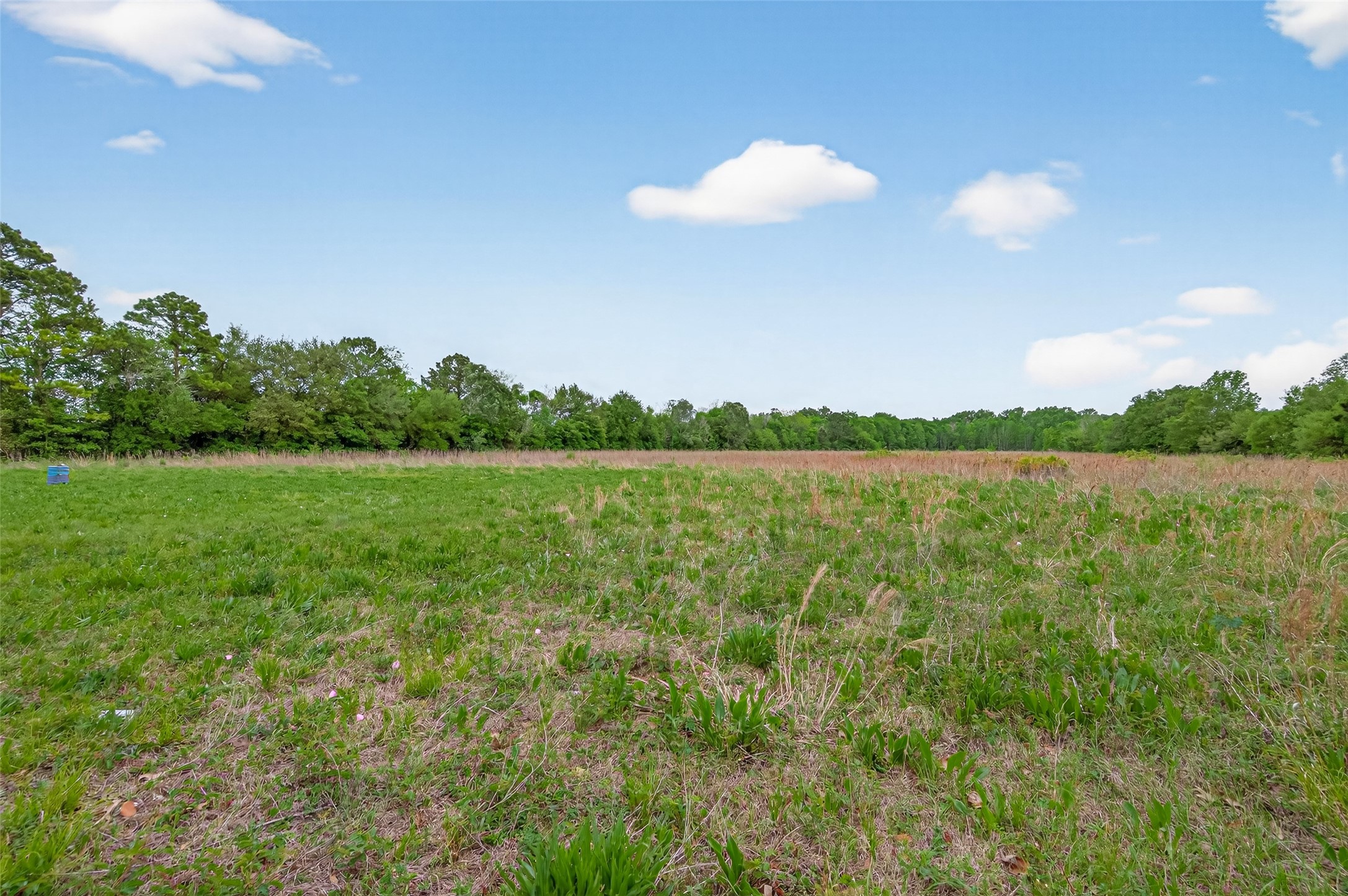 0 East Stroker Road Crosby, TX 77532 - Photo 11 of 32