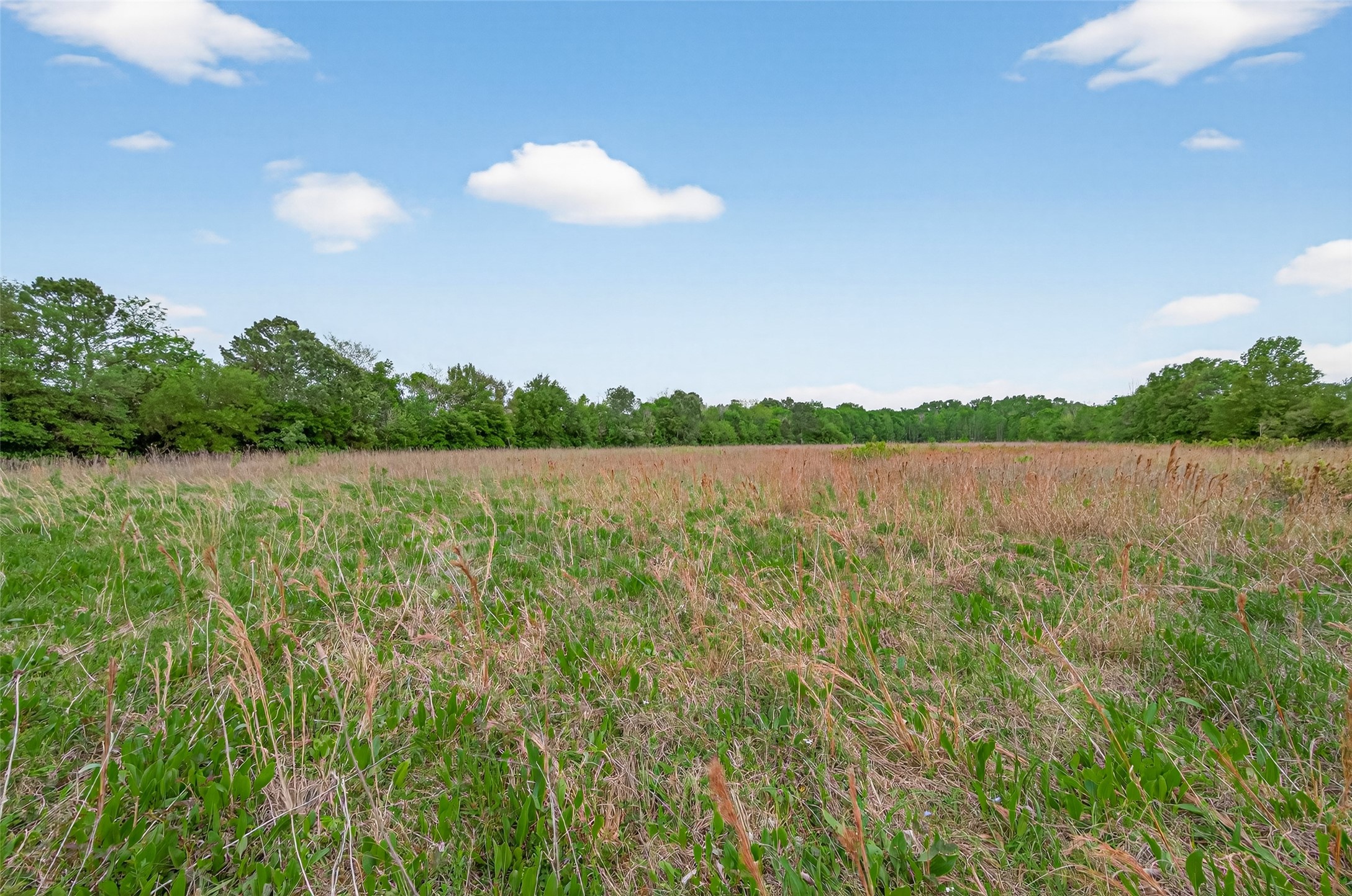 0 East Stroker Road Crosby, TX 77532 - Photo 17 of 32