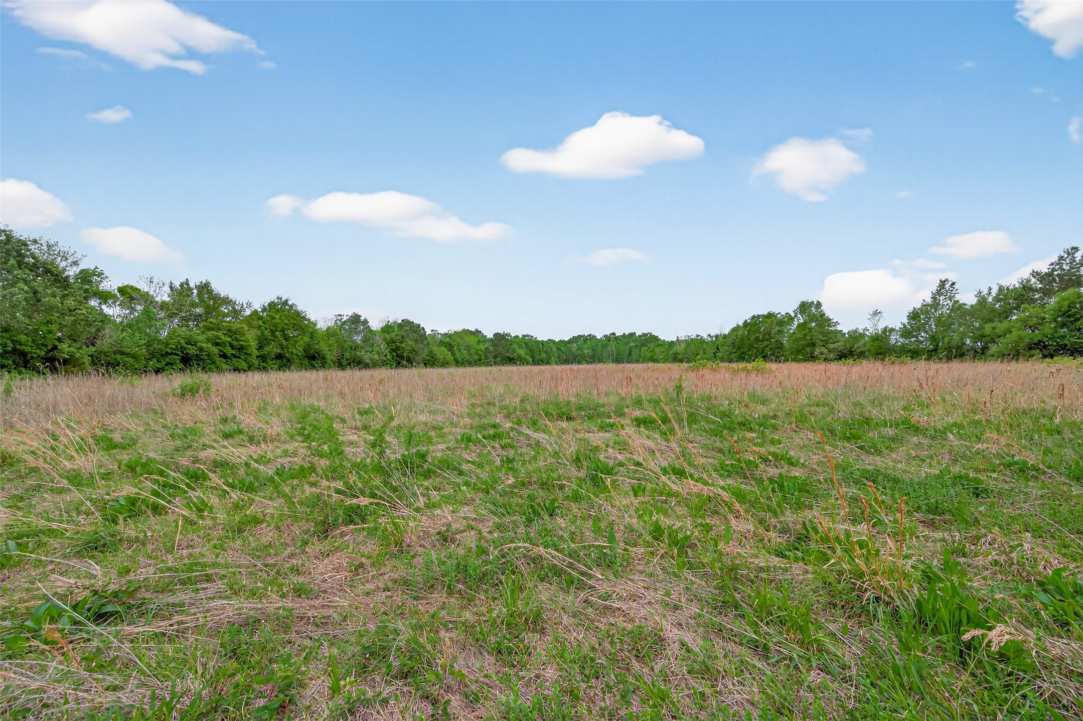 0 East Stroker Road Crosby, TX 77532 - Photo 18 of 32