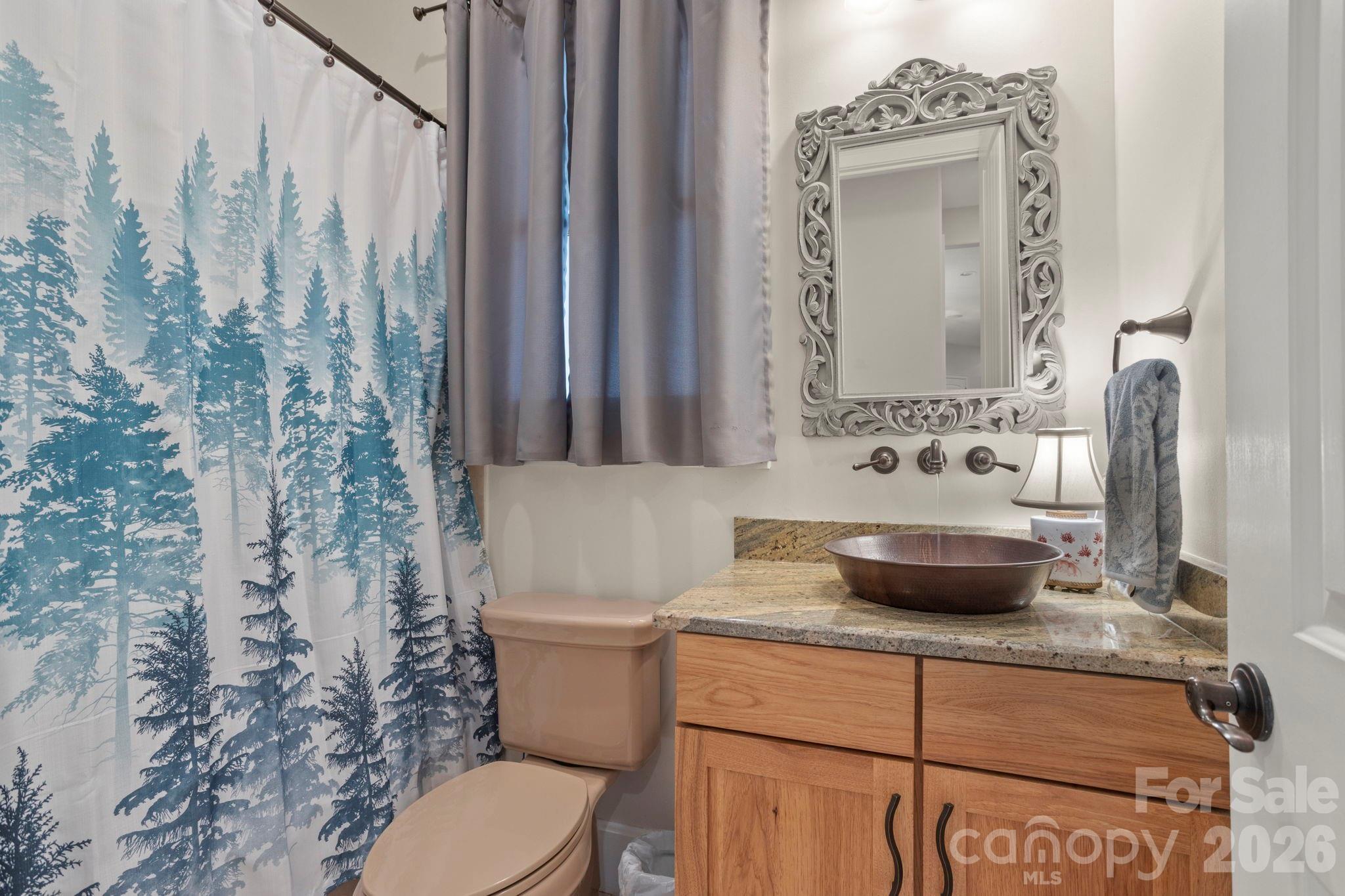 628 Vista Falls Road Mills River, NC 28759 - Photo 23 of 37 a bathroom with a toilet sink and mirror