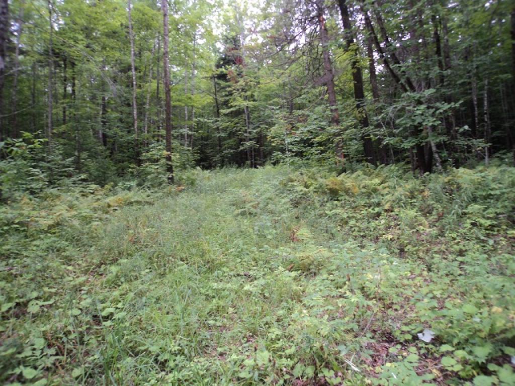 2608 Maplewood Road Corinth, VT 05086 - Photo 4 of 14