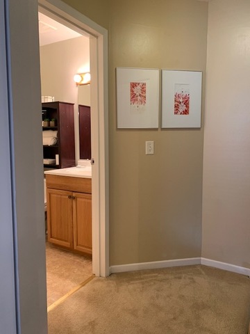 312 Russet Way Vernon Hills, IL 60061 - Photo 22 of 32