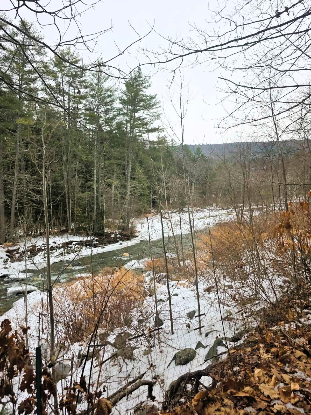 132 Duke Road Newfane, VT 05362 - Photo 14 of 15