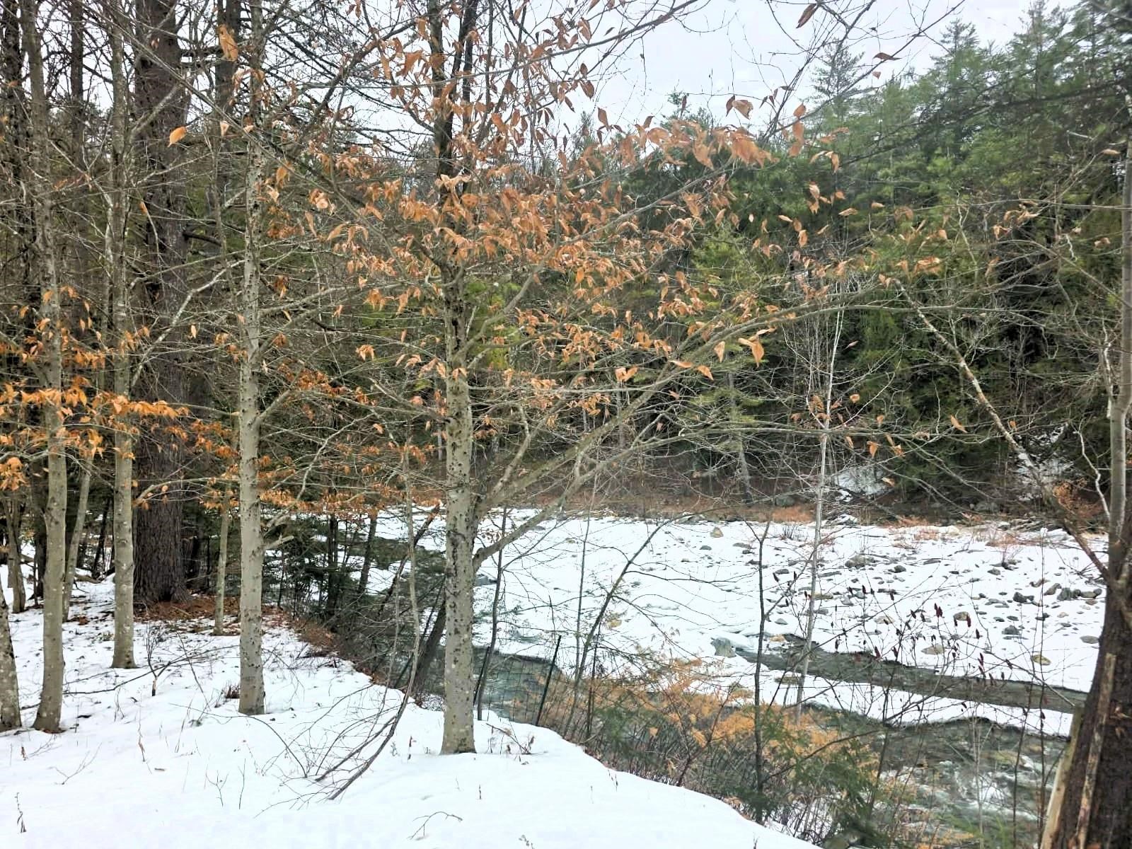 132 Duke Road Newfane, VT 05362 - Photo 15 of 15