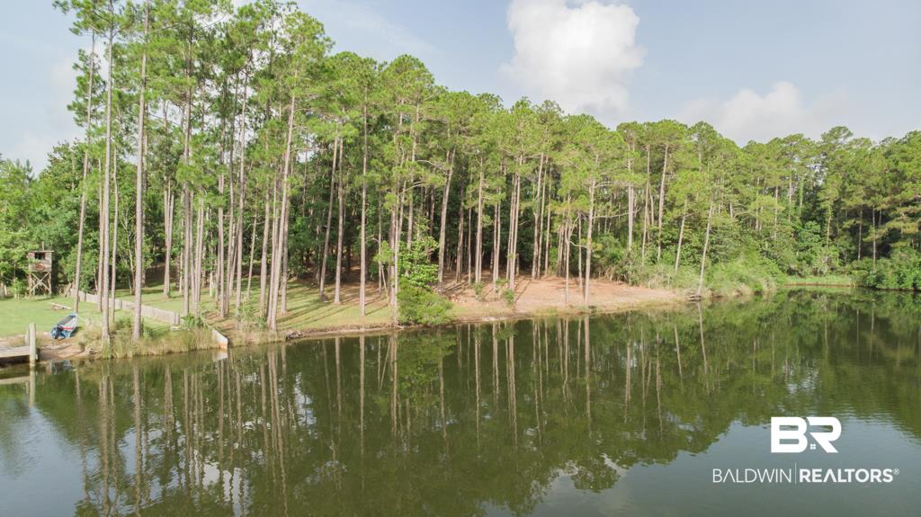 4 South Bayou Drive Elberta, AL 36530 - Photo 7 of 23