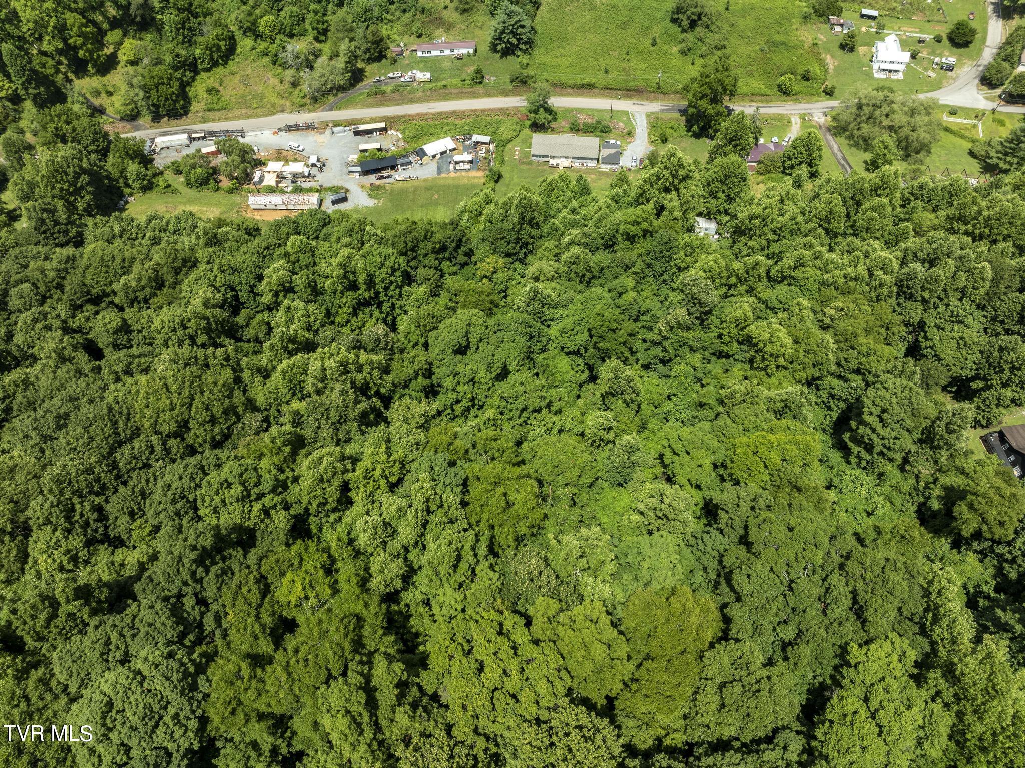 658 Willow Springs Road Elizabethton, TN 37643 - Photo 48 of 58 aerial (1)