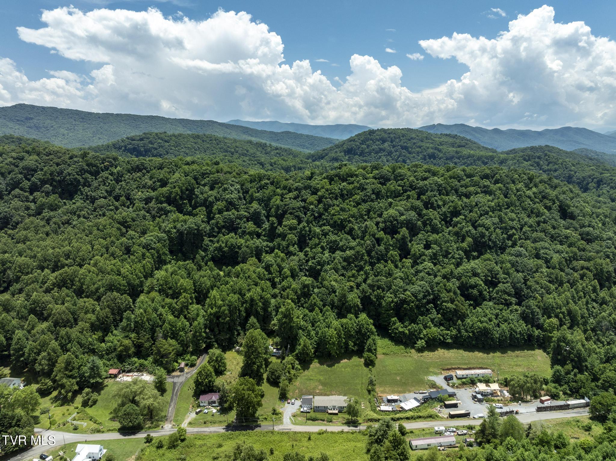 658 Willow Springs Road Elizabethton, TN 37643 - Photo 54 of 58 aerial (10)