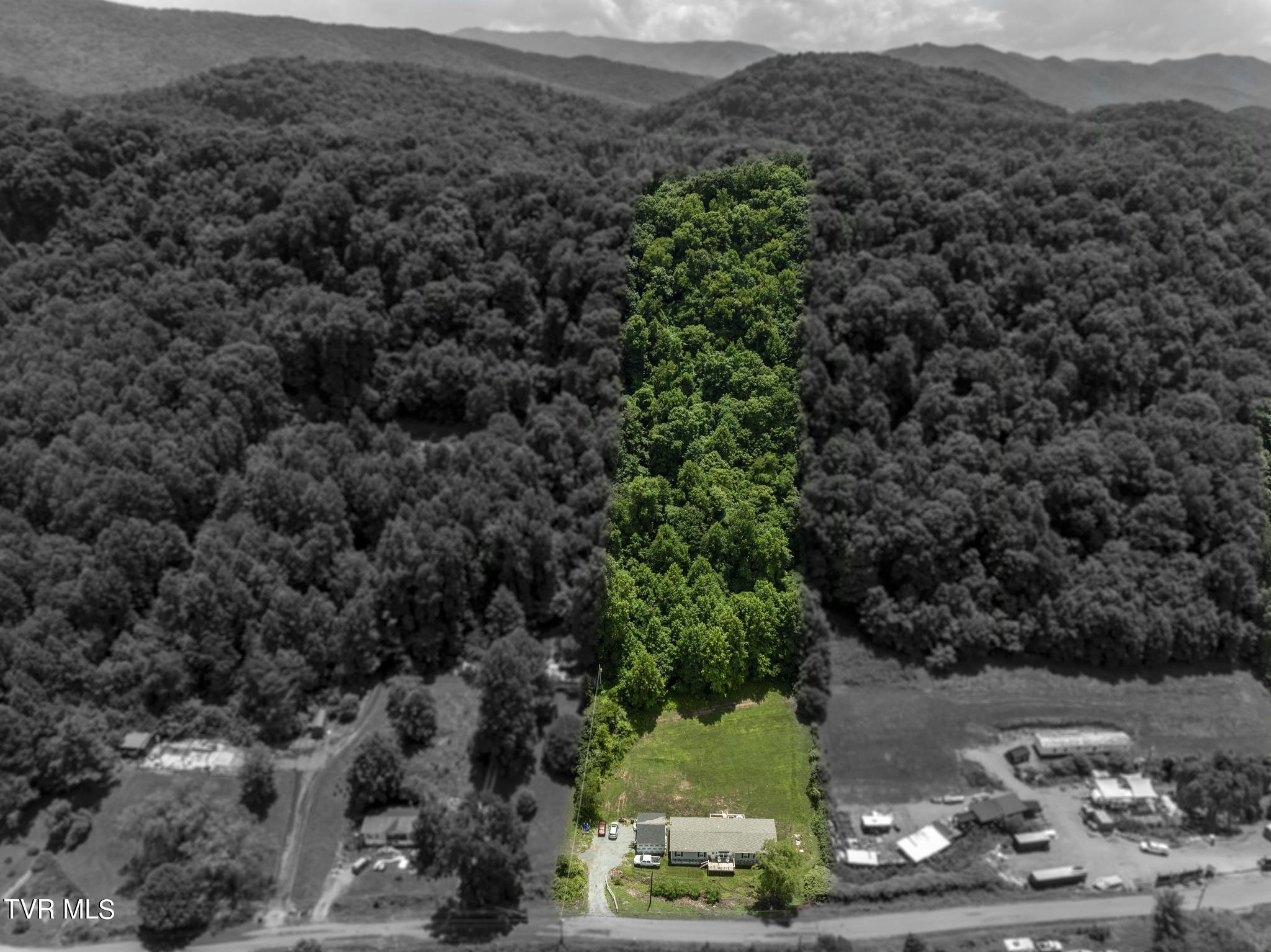 658 Willow Springs Road Elizabethton, TN 37643 - Photo 57 of 58 aerial (13)