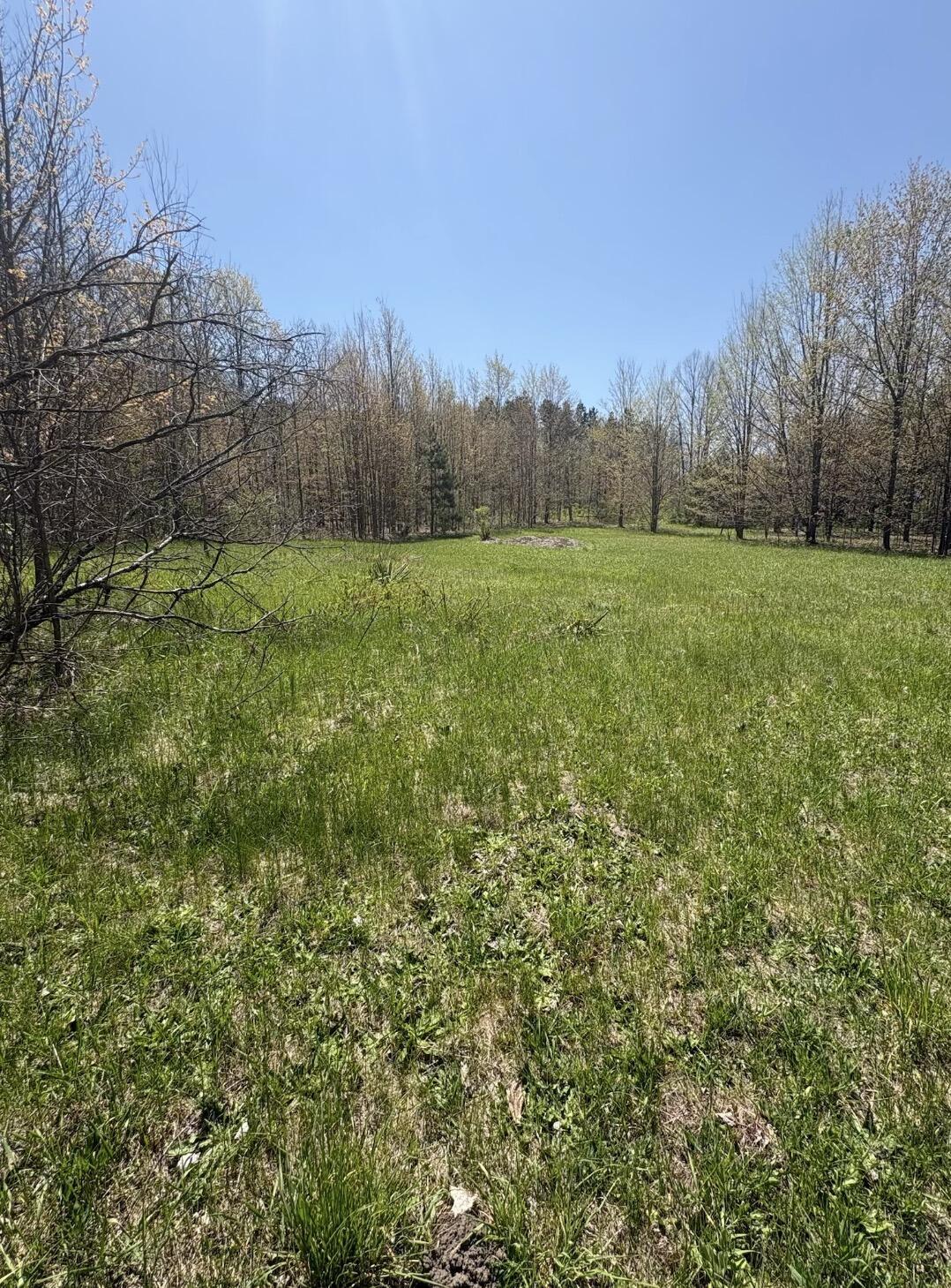 17055 Butwell Road Bear Lake, MI 49614 - Photo 6 of 16 06_beyc6a47b00804402