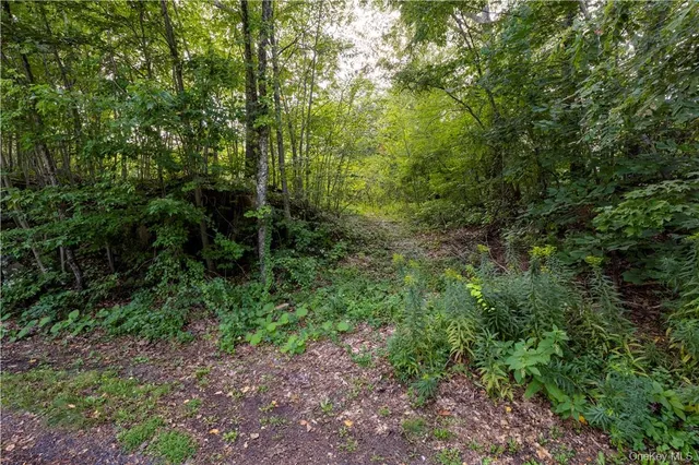 $75,000 | 10 William Way, Stormville, NY 12582