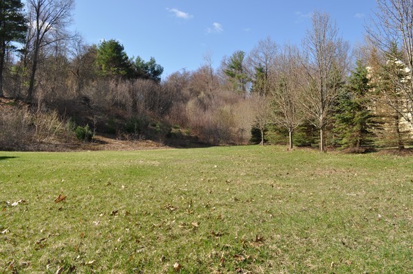 53 Locust Street Middleton, MA 01949 - Photo 6 of 30 Gallery Image 6