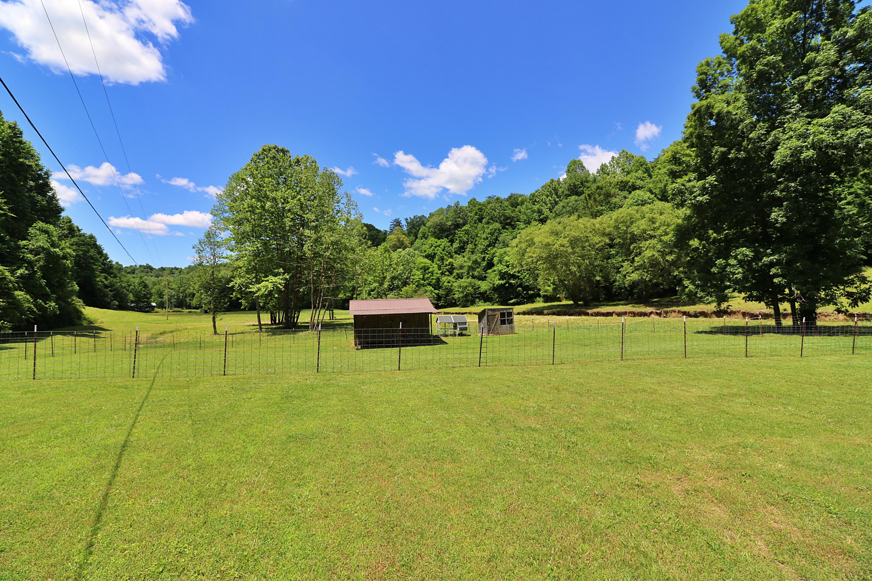 525 Bird Holler Road Oneida, TN 37841 - Photo 29 of 40 094A4501