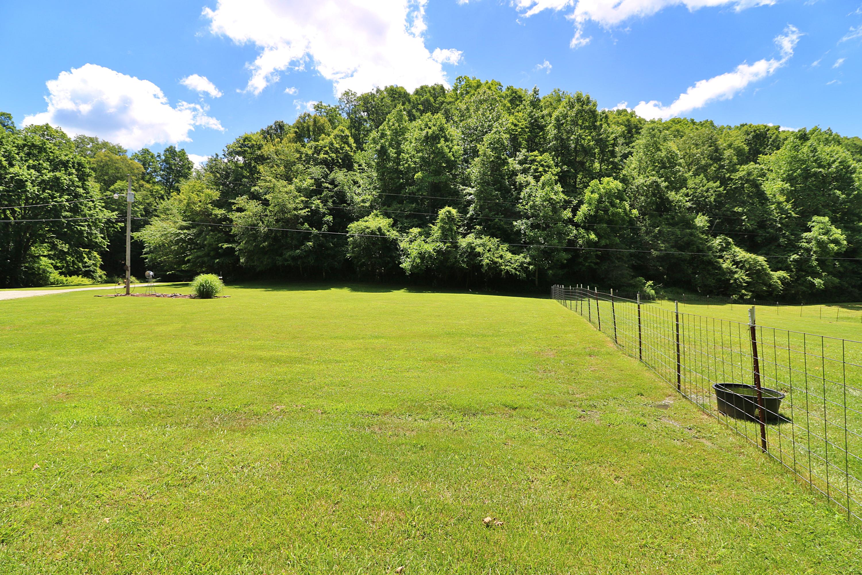 525 Bird Holler Road Oneida, TN 37841 - Photo 30 of 40 094A4499