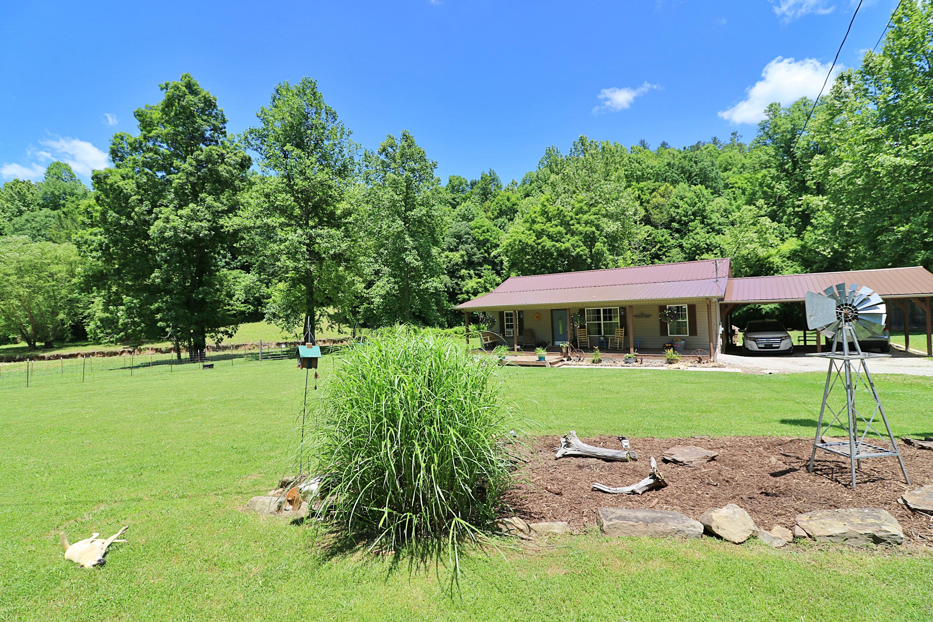 525 Bird Holler Road Oneida, TN 37841 - Photo 3 of 40 094A4503