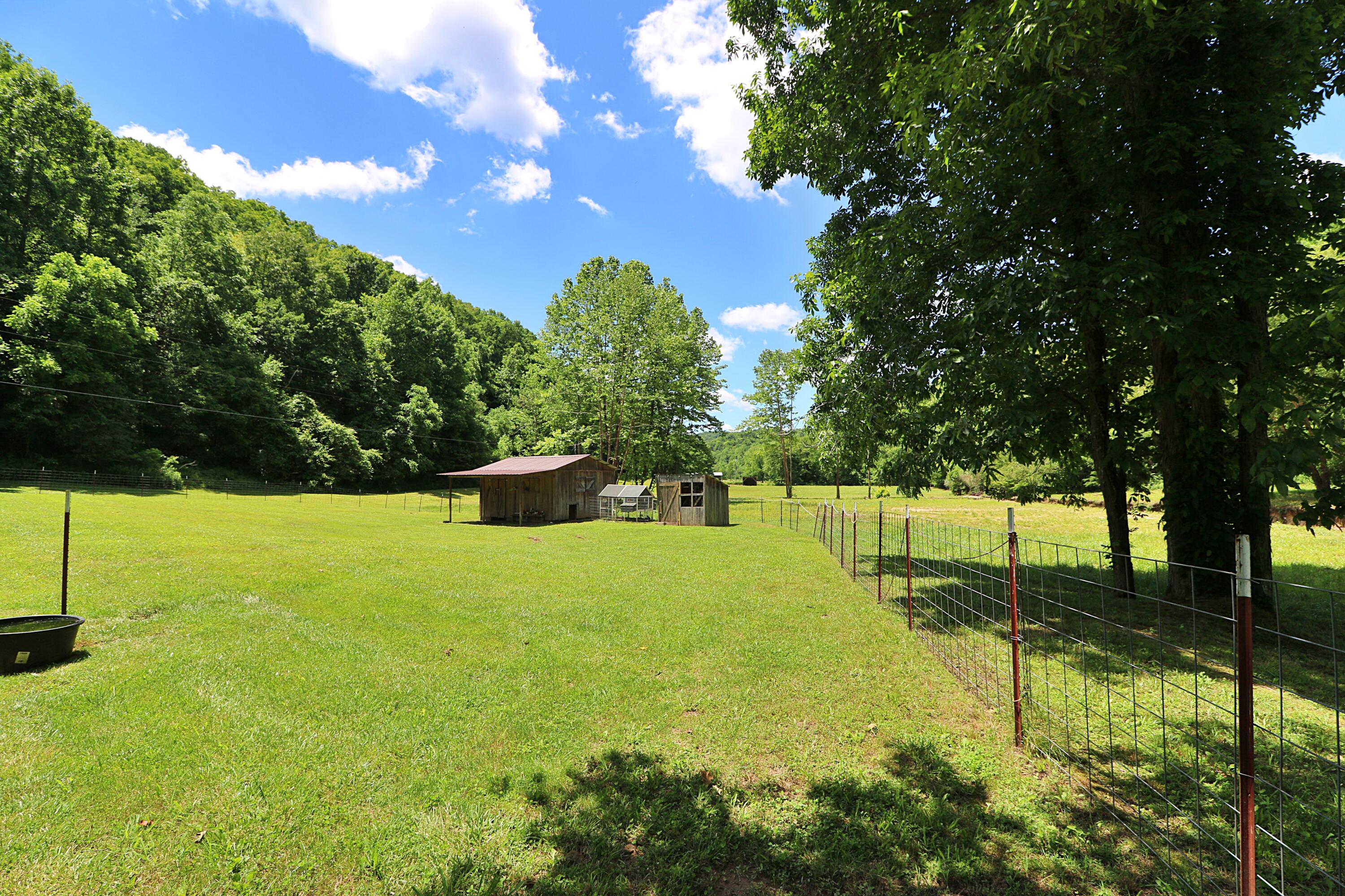 525 Bird Holler Road Oneida, TN 37841 - Photo 31 of 40 094A4498