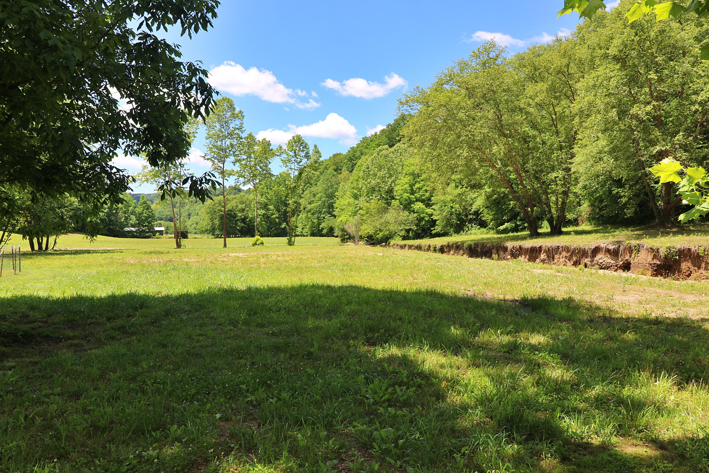 525 Bird Holler Road Oneida, TN 37841 - Photo 33 of 40 094A4496