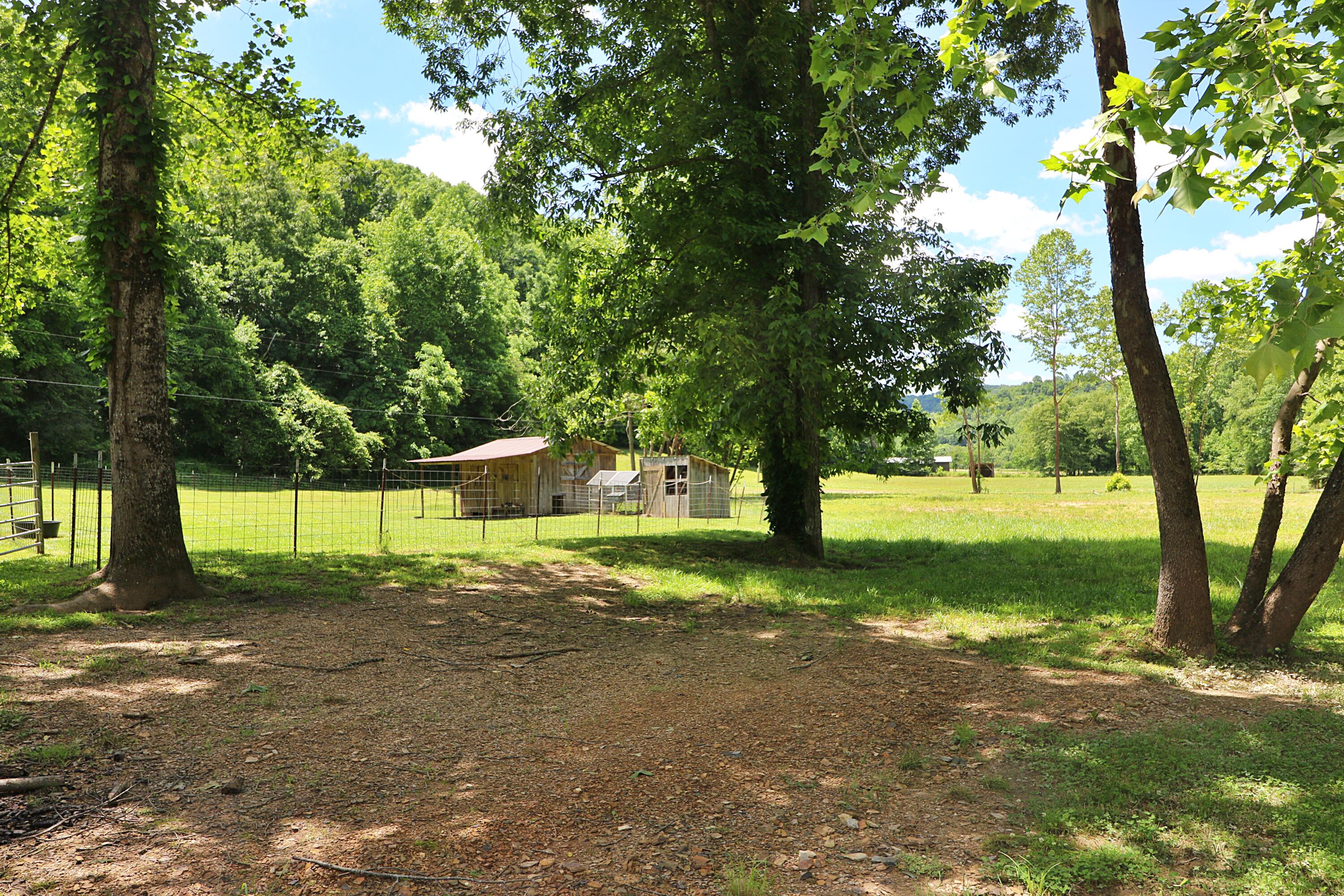 525 Bird Holler Road Oneida, TN 37841 - Photo 34 of 40 094A4495