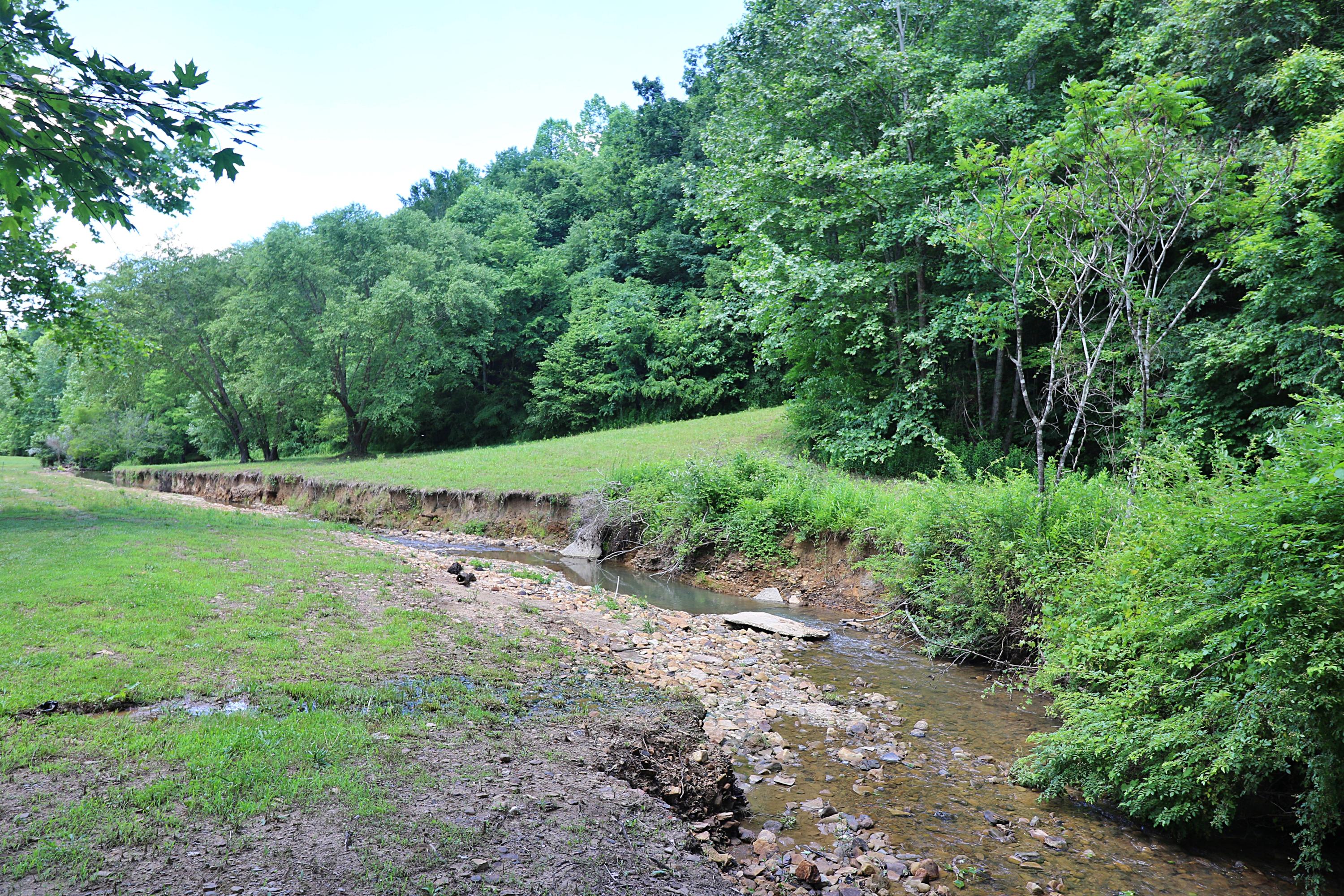 525 Bird Holler Road Oneida, TN 37841 - Photo 36 of 40 094A4492