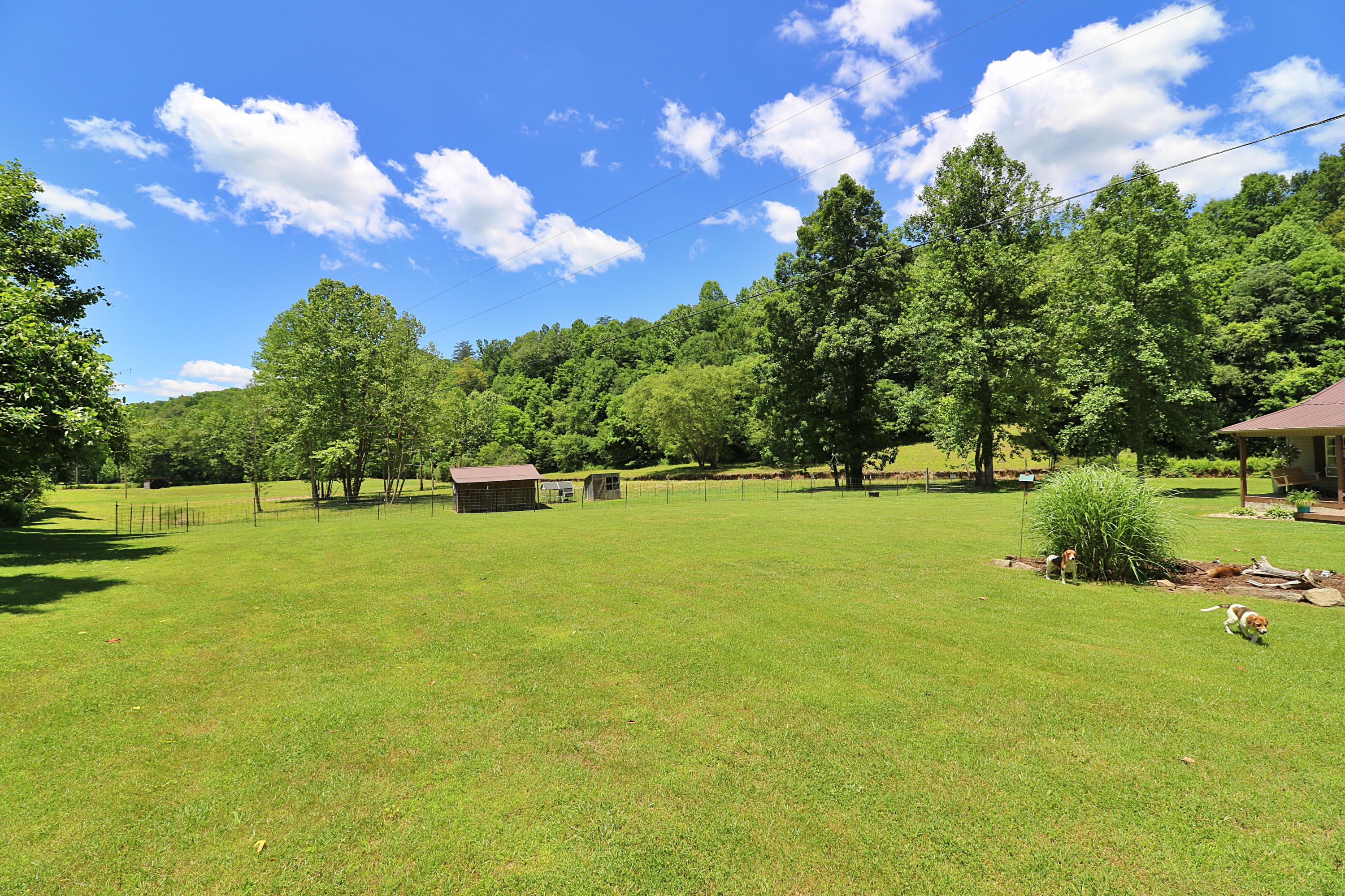 525 Bird Holler Road Oneida, TN 37841 - Photo 37 of 40 094A4536