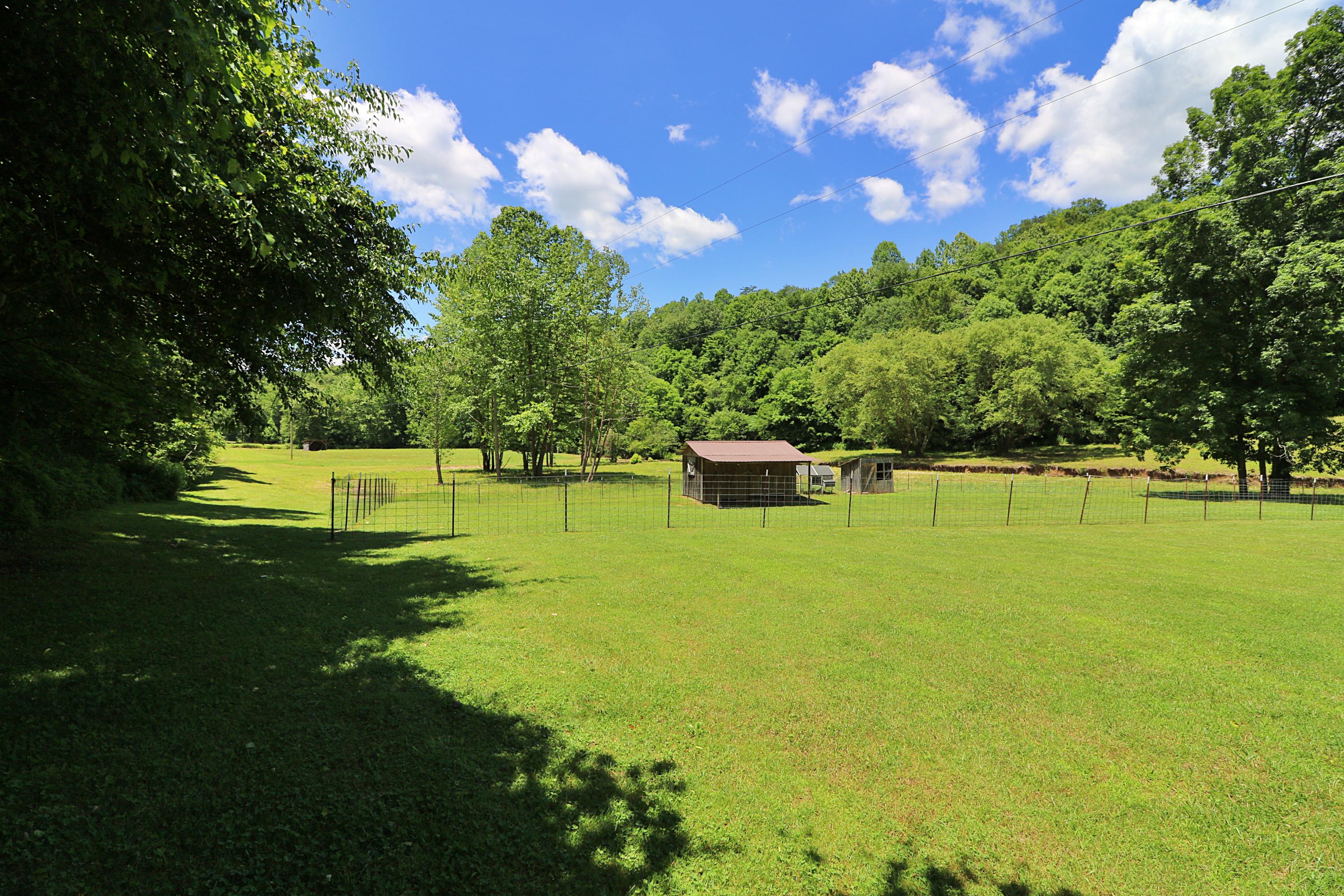 525 Bird Holler Road Oneida, TN 37841 - Photo 38 of 40 094A4537