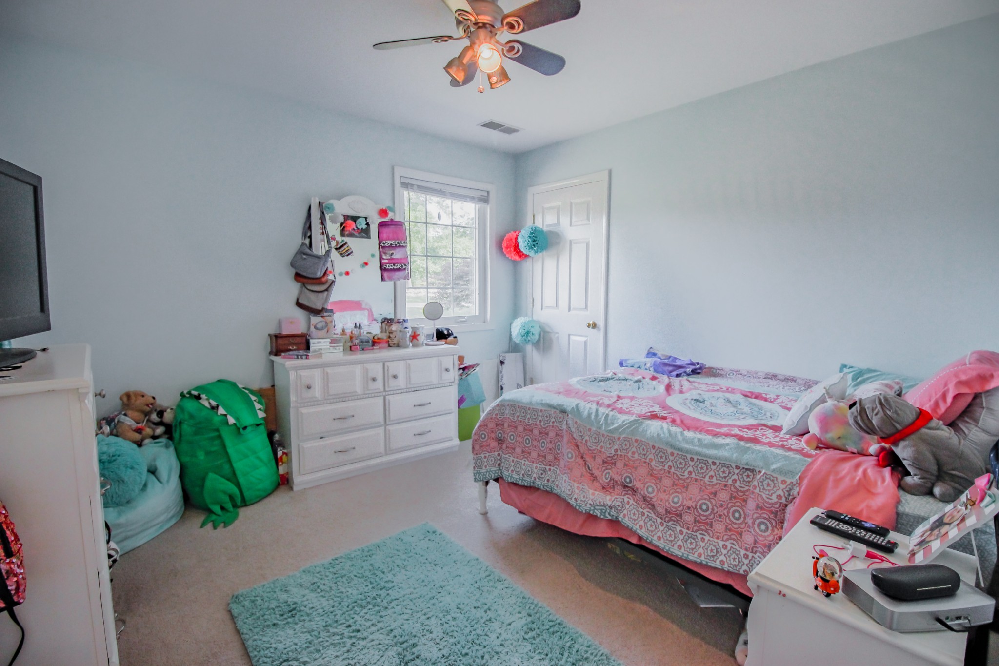 790 Brummitt Road Castalian Springs, TN 37031 - Photo 18 of 24 Gallery Image 18