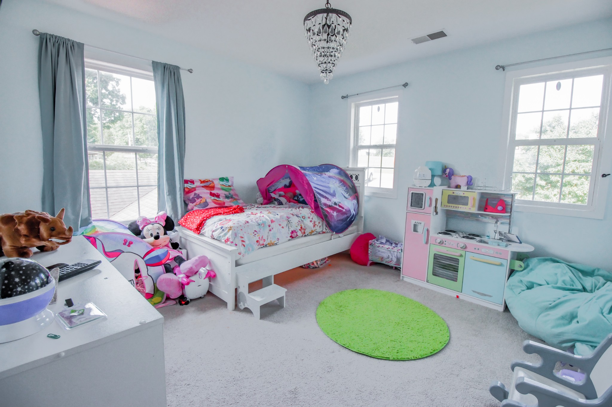 790 Brummitt Road Castalian Springs, TN 37031 - Photo 19 of 24 Gallery Image 19