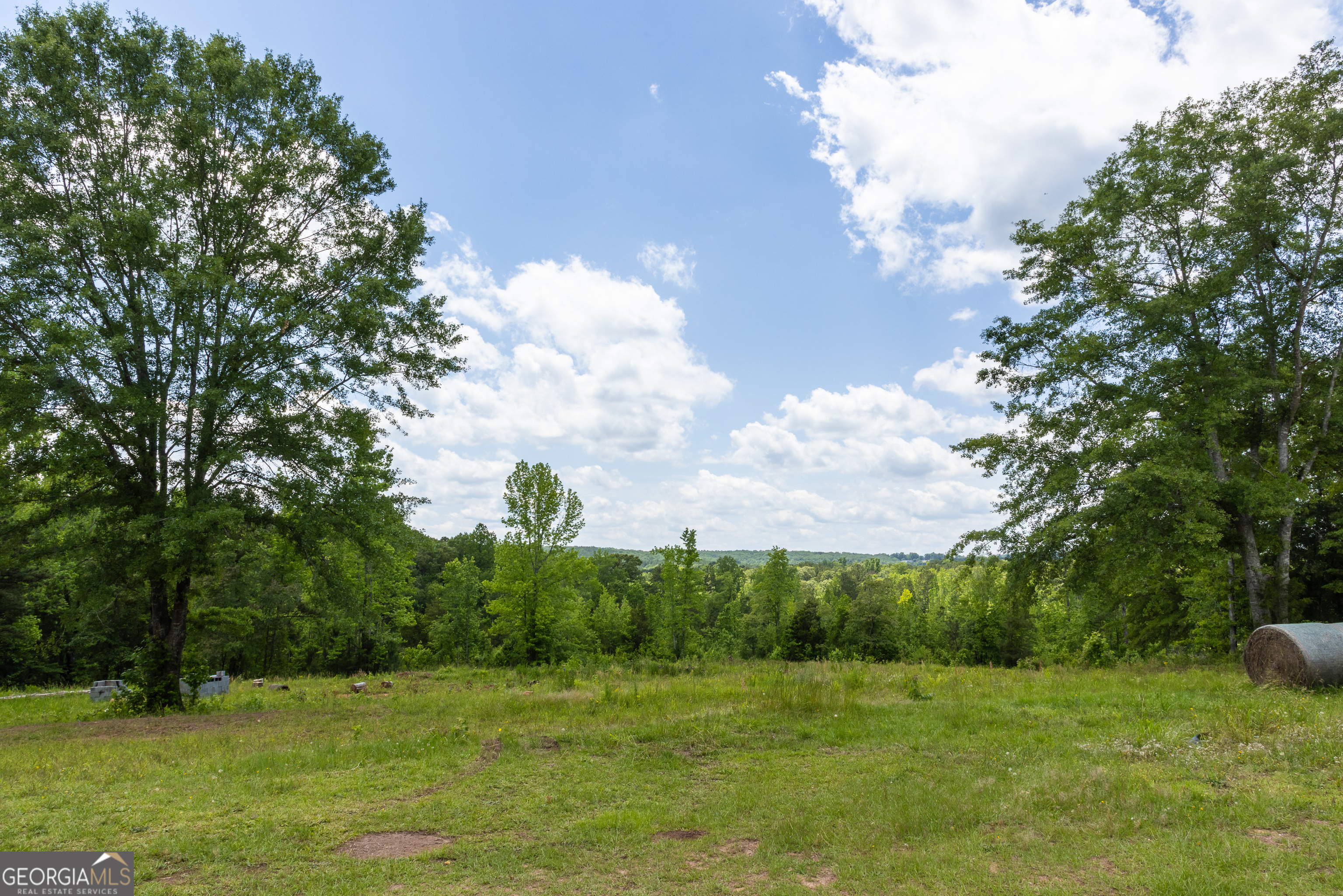 655 White Road Thomaston, GA 30286 - Photo 14 of 41