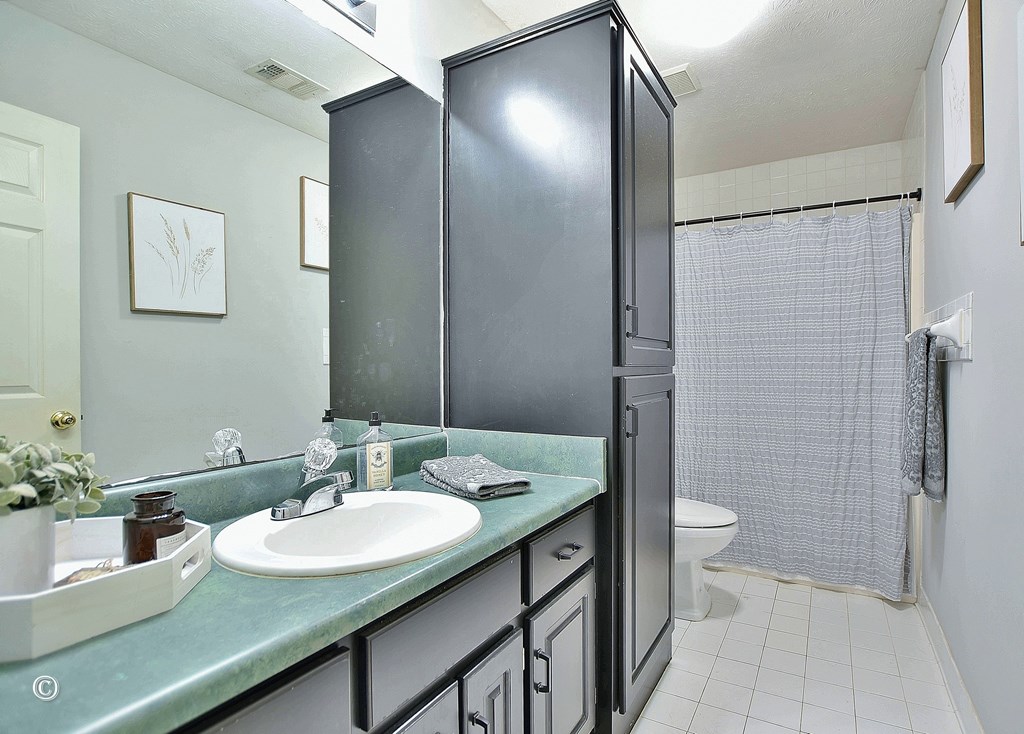129 Hunter Road Cataula, GA 31804 - Photo 24 of 28 a bathroom with a sink and a mirror