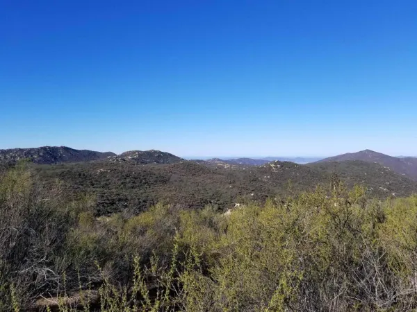 a view of a mountain range with lush green forest