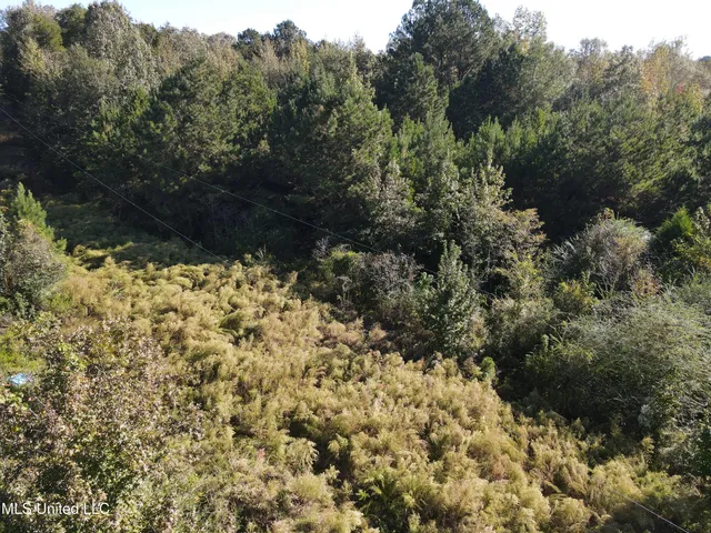 $42,000 | 0 Northwest Toy Drive, Brookhaven, MS 39601