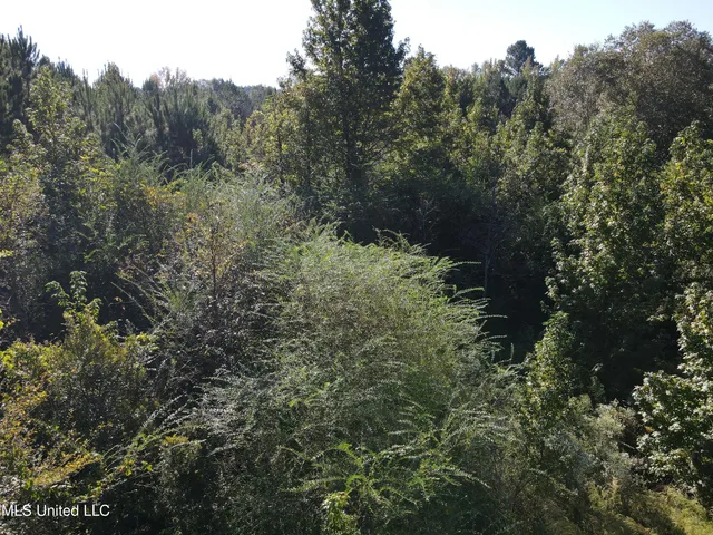 $42,000 | 0 Northwest Toy Drive, Brookhaven, MS 39601