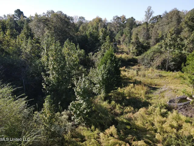 $42,000 | 0 Northwest Toy Drive, Brookhaven, MS 39601