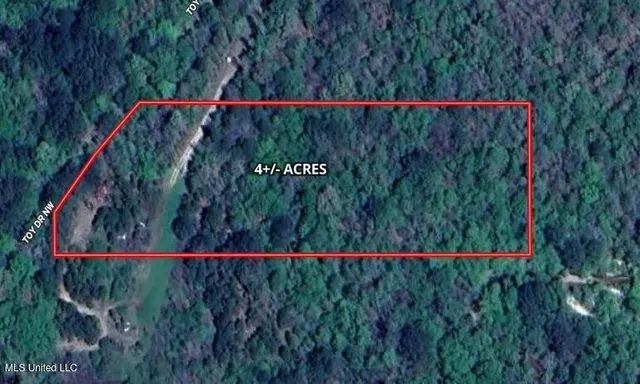 $42,000 | 0 Northwest Toy Drive, Brookhaven, MS 39601