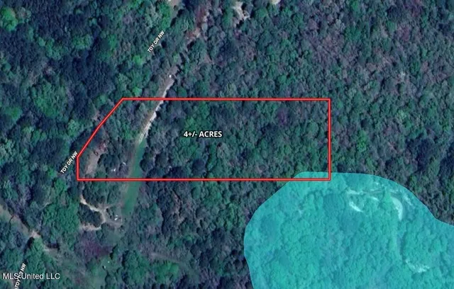 $42,000 | 0 Northwest Toy Drive, Brookhaven, MS 39601