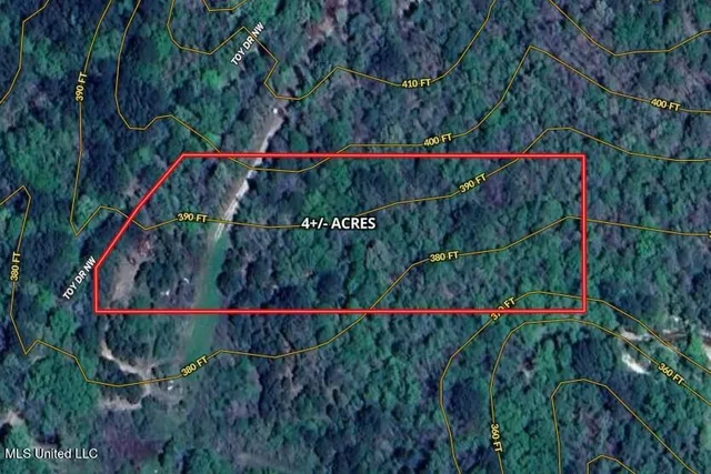 $42,000 | 0 Northwest Toy Drive, Brookhaven, MS 39601