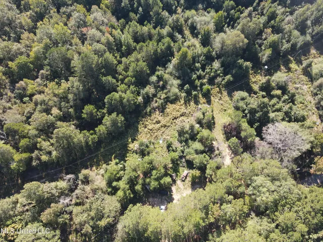 $42,000 | 0 Northwest Toy Drive, Brookhaven, MS 39601