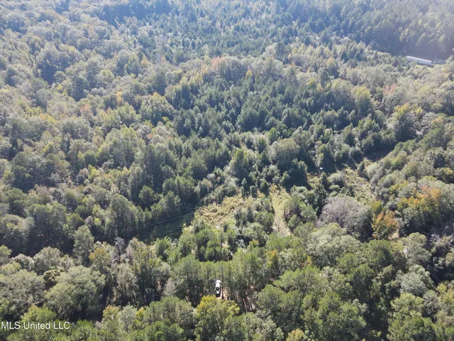 $42,000 | 0 Northwest Toy Drive, Brookhaven, MS 39601