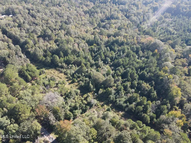 $42,000 | 0 Northwest Toy Drive, Brookhaven, MS 39601